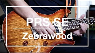 PRS SE Zebrawood Custom 24 chat [upl. by Dulcia429]