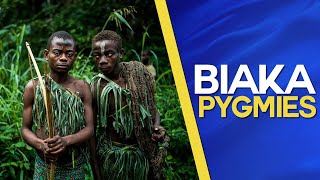 Biaka Pygmies ​of the Zaire rainforest Documentary about the former Belgian Congo [upl. by Nananne]