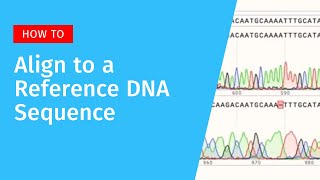 Aligning to a Reference DNA Sequence in SnapGene [upl. by Posehn655]