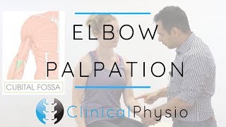 Elbow Palpation  Clinical Physio Premium [upl. by Milone229]