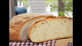 PANE INTEGRALE FACILE E VELOCE FARINA Tipo 1 ricetta pane MORBIDO soft bread [upl. by Merrielle]