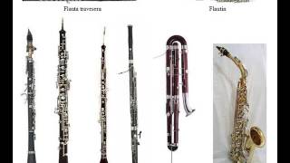 Instrumentos Musicales [upl. by Gabe415]