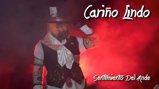 Cariño Lindo  Sentimiento Del Ande  Letras [upl. by Ahsinert]