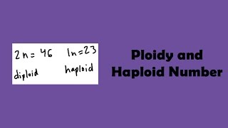 Ploidy and Haploid Number [upl. by Rayham]