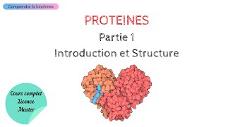 PROTÉINES  INTRODUCTION ET STRUCTURE  Biochimie Facile [upl. by Rednaxela]