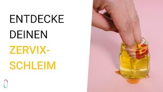 Entdecke Deinen Zervixschleim 🍯  trackle erklärt [upl. by Nemzaj676]