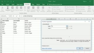 Combine Data in Excel Using Concatenate [upl. by Frierson328]