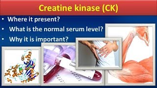 Creatine KinaseCKClear overview [upl. by Arok]