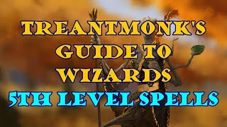 Treantmonks Guide to Wizards 5th level spells [upl. by Nrev658]