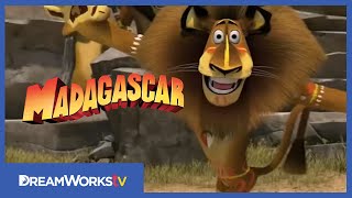 Madagascar  Madagaskar  Official Trailer HD [upl. by Girardo307]