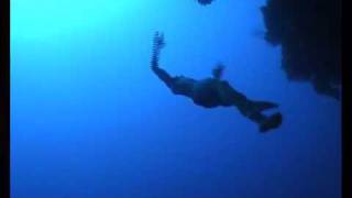 William Trubridge freedives THE ARCH at Blue Hole Dahab [upl. by Yehtomit]