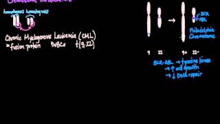 Chromosomal Translocations [upl. by Swords]