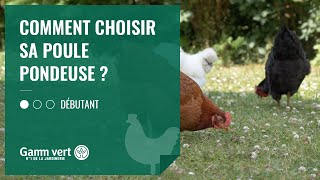 TUTO Comment choisir sa poule pondeuse   Jardinerie Gamm vert [upl. by Esalb]