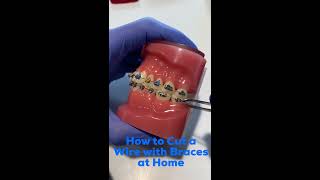 How to Cut an Orthodontic Wire at Home  David Ross Orthodontics [upl. by Alair]