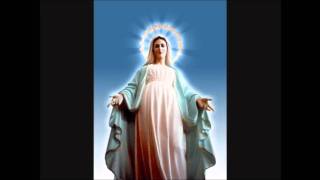 THE 4 MYSTERIES of the HOLY ROSARY [upl. by Conan]