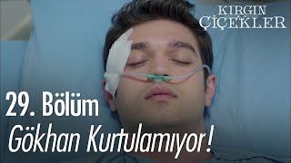 Gökhan kurtulamıyor  Kırgın Çiçekler 29 Bölüm [upl. by Shugart]