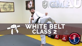 Taekwondo Follow Along Class  White Belt  Class 2 [upl. by May]