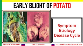 Mold Toxicity  Different Types of Mold in Your Home  Dr J9 Live [upl. by Mikkanen]