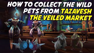 Collect the Wild Pets from Tazavesh the Veiled Market Solo [upl. by Asenaj243]