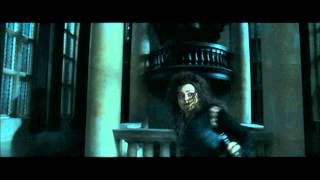 Harry Potter and the Deathly Hallows part 1  Bellatrixs reign of terror at Malfoy Manor part 1 [upl. by Keiko]