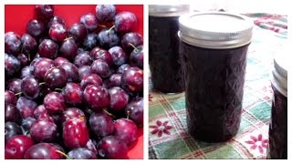 How to make Plum Jam  Canning Done Easy [upl. by Benita]