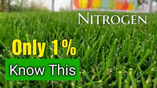 Bet You DONT Know This About Nitrogen Lawn Fertilizers [upl. by Erodoeht]