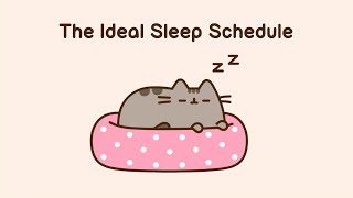 Pusheen The Ideal Sleep Schedule [upl. by Aelat]