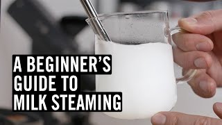 Everything You Need To Know To Steam Great Milk [upl. by Nassir]