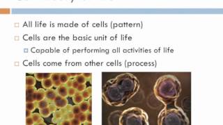 Biology 1 Lecture 1 Biology and the Tree of Life [upl. by Akelam]