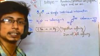 Antigen antibody reaction overview [upl. by Asli]