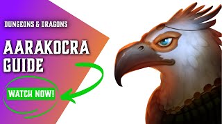 DnD Aarakocra 5e  Races for Dungeons and Dragons [upl. by Diego]