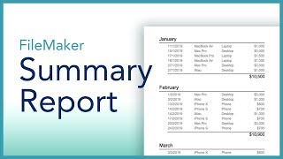 FileMaker Summary Report [upl. by Alyahsal553]