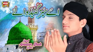 New Naat 2019  Aye Sabz Gumbad  Syed Arsalan Shah Qadri  Official Video  Heera Gold [upl. by Kruse316]