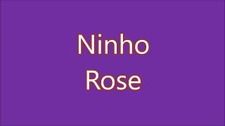 Ninho  Rose Lyrics Paroles [upl. by Kosaka479]