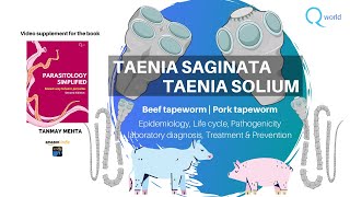 Taenia saginata and solium Parasitology Tutorials NEETPG NEXT USMLE UKMLE FRCPath Review [upl. by Hank]