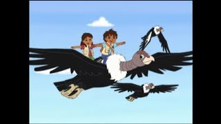 Go Diego Go  Three Little Condors [upl. by Brennan]