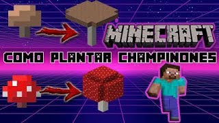 COMO PLANTAR CHAMPIÑONES EN MINECRAFT Tutorial Seta Roja o Marron GiganteEnorme [upl. by Venola]