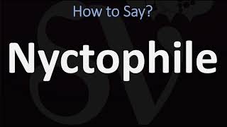 How to Pronounce Nyctophile CORRECTLY [upl. by Fleur]