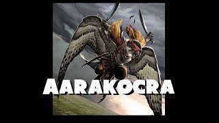 Dungeons and Dragons Lore Aarakocra [upl. by Yaner]