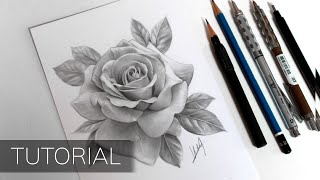 Tutorial  How to Draw a Realistic Rose [upl. by Eedeed]