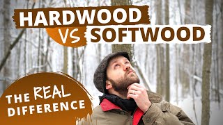 The Actual Difference Between Hardwood and Softwood [upl. by Mab]