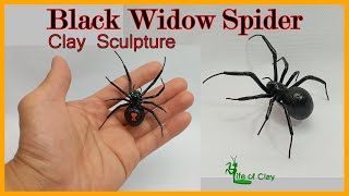 Sculpting Black Widow Spider Latrodectus hesperus using Polymer ClayLifeofClay [upl. by Egan183]