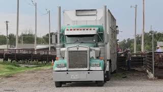 Sleeper truck races EVERYONE on the highway [upl. by Yenahpets]