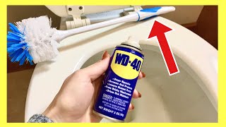 The TRUTH About WD 40 vs TOILET for Cleaning The One TRICK Everyone Should KNOW  Andrea Jean [upl. by Lehcir]