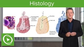 Histology – Course Preview  Lecturio [upl. by Atinar]