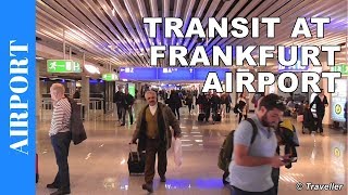 TRANSIT WALK AT FRANKFURT Airport FRA Terminal 1  Connection Flight Transfer Arriving amp Departing [upl. by Kenyon]