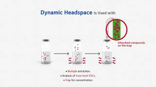 What Is a Headspace Autosampler [upl. by Aihsekin826]