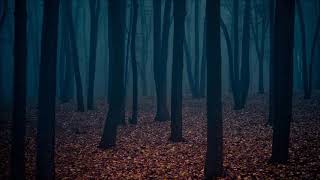 Free Horror Ambiance  Ominous Background Music [upl. by Byram]