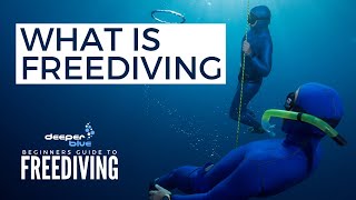 What Is Freediving  The Beginners Guide To Freediving [upl. by Haze]