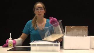 How to build a Cloud Chamber [upl. by Bortz]